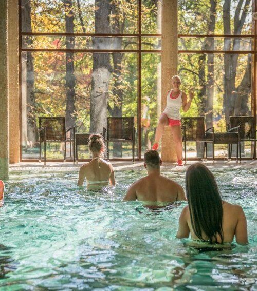 Wellness Hotel Gyula