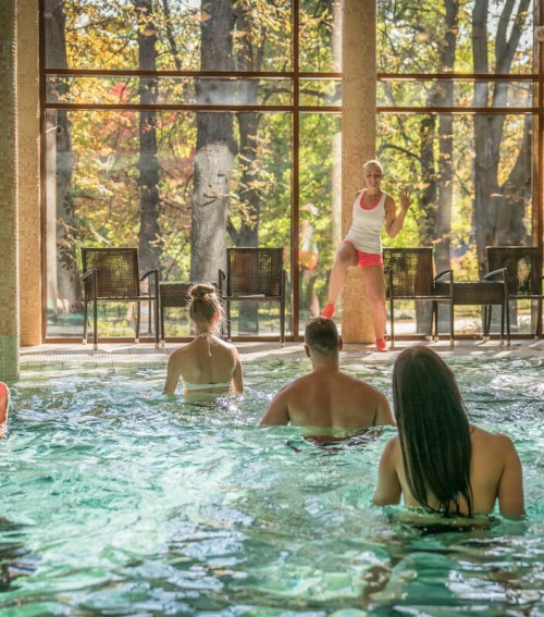 Wellness Hotel Gyula