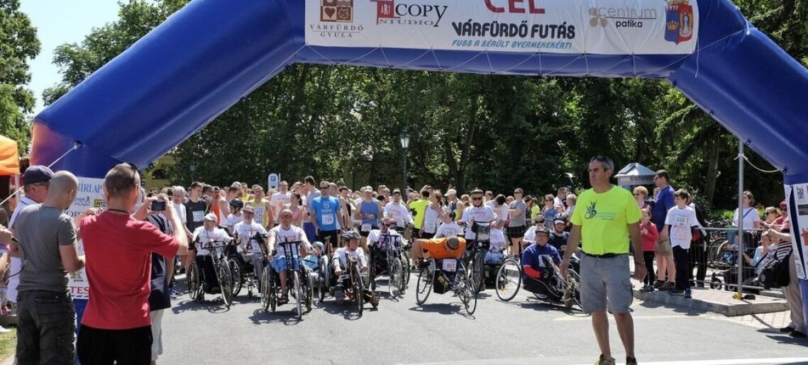 XIV. Fuss a sérült gyermekekért