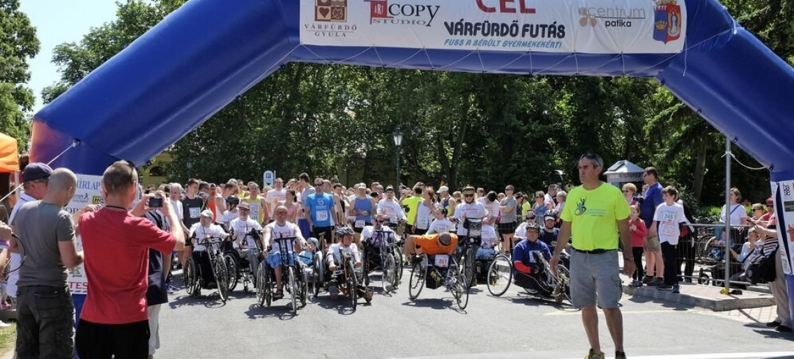 XIV. Fuss a sérült gyermekekért