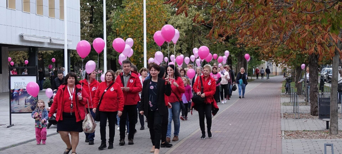 XIV. Hídi séta a mellrák ellen