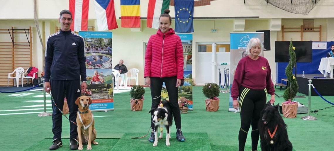 XXVII. MedividAgility Kupa és XVIII. ParAgility Kupa	