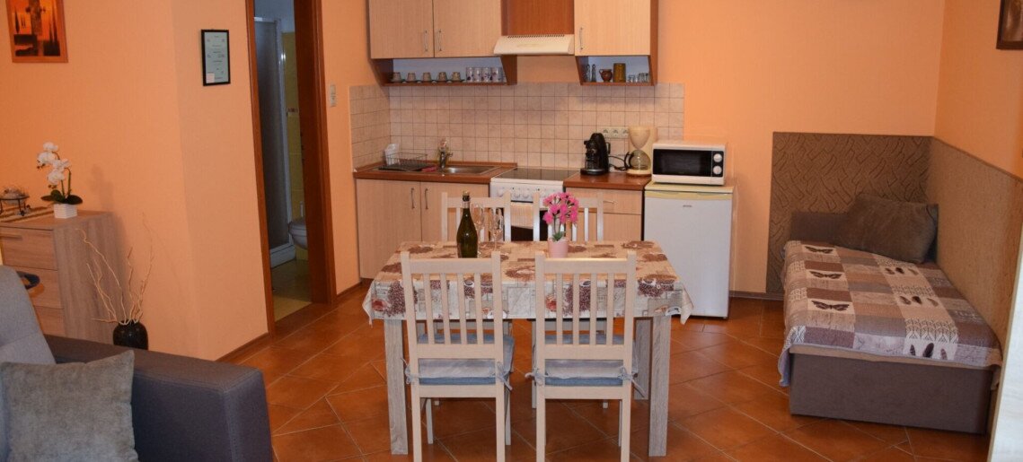 Zsuzsi Apartman Gyula - 4