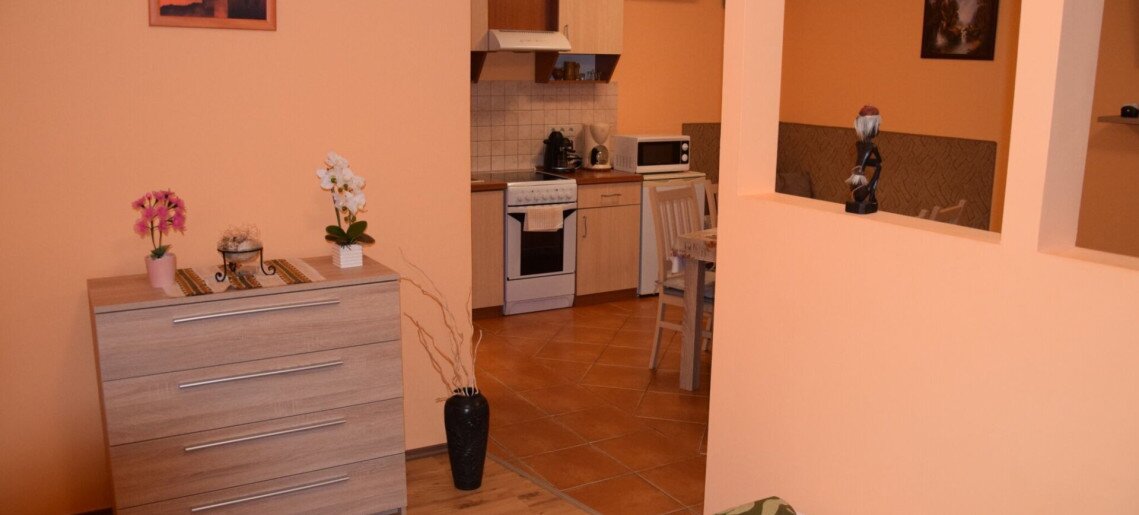 Zsuzsi Apartman Gyula - 7