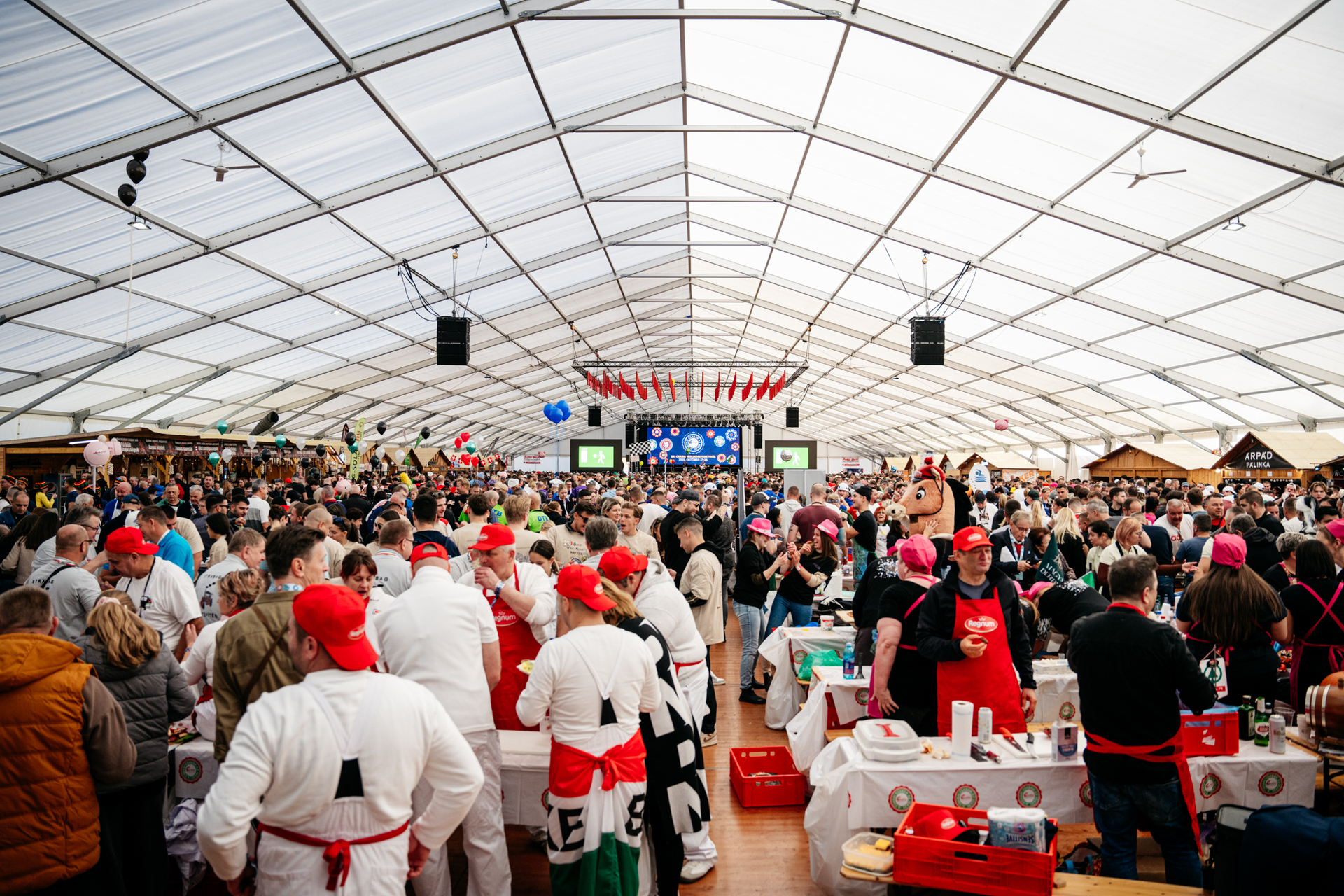 Csabai_Kolbaszfeszt._DAY3_RA-38.jpg